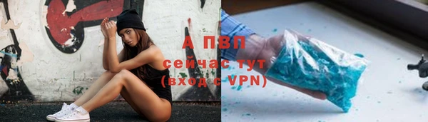 стаф Беломорск