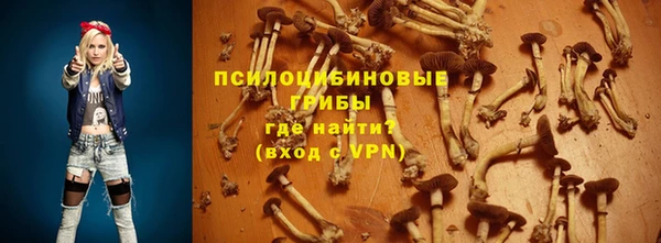 прущие крисы Белокуриха